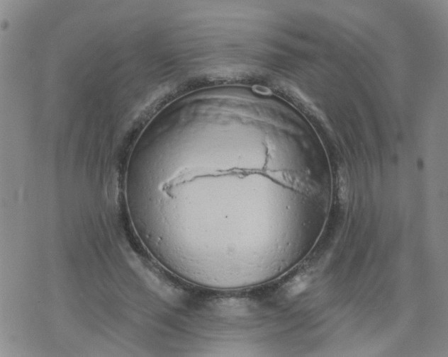 X0000074300637200609081918