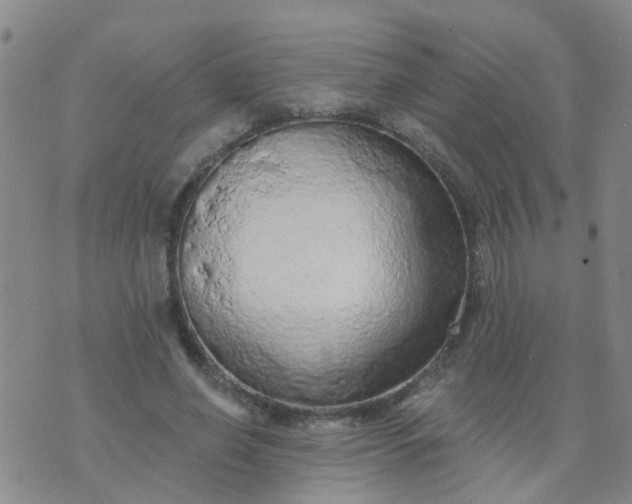 X0000074300638200609081918