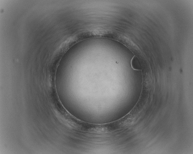 X0000074300639200609081918