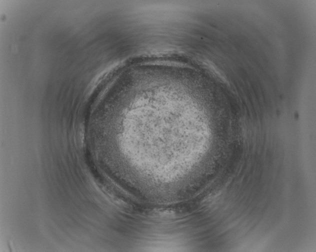 X0000074300640200609081918