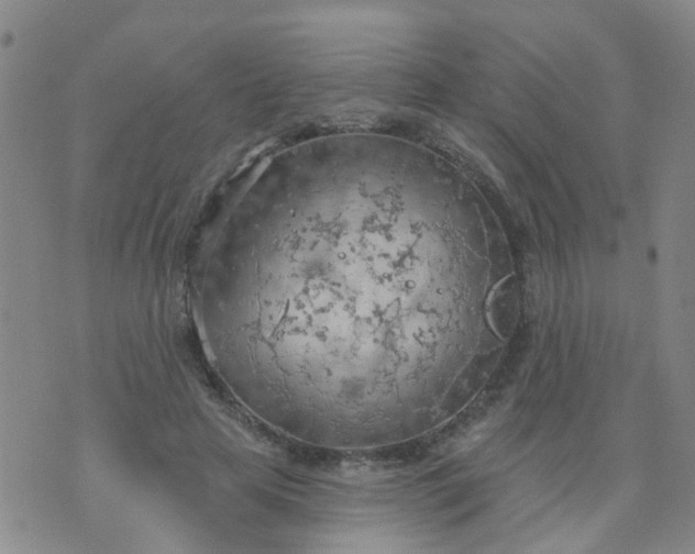 X0000074300641200609081918