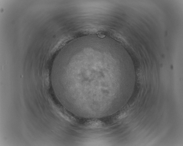 X0000074300642200609081918