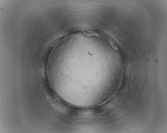 X0000074300643200609081918