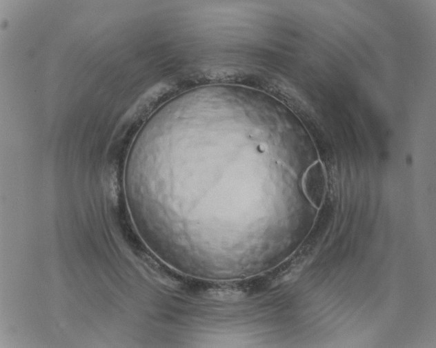 X0000074300644200609081918