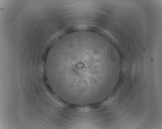 X0000074300645200609081918