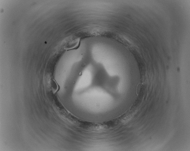 X0000074300646200609081918