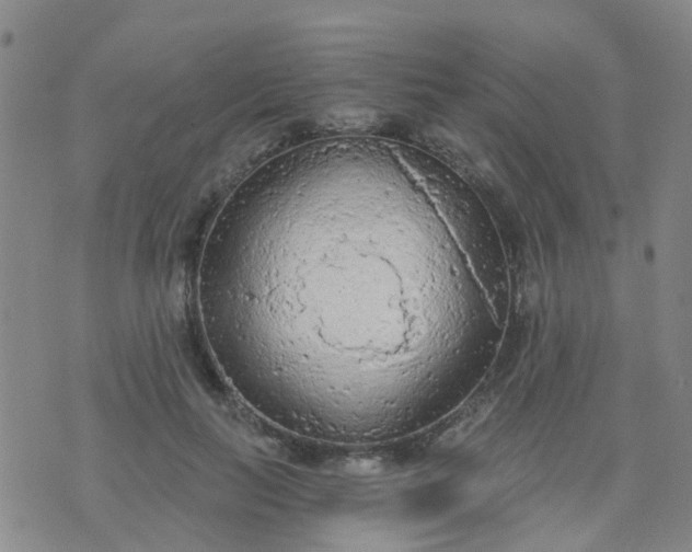 X0000074300647200609081918