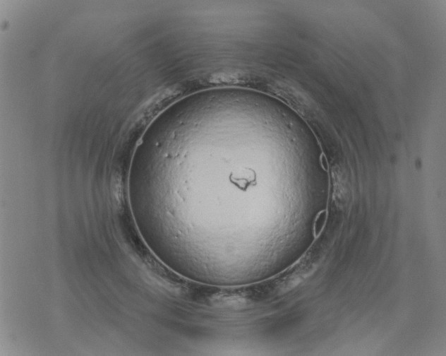 X0000074300648200609081918