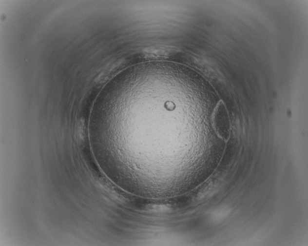 X0000074300649200609081918