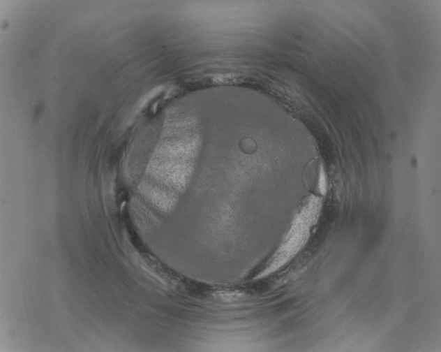 X0000074300650200609081918