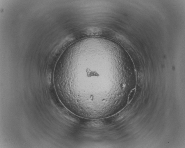 X0000074300652200609081918