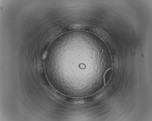 X0000074300653200609081918