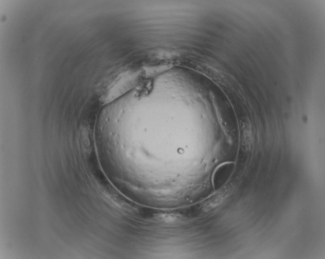 X0000074300654200609081918