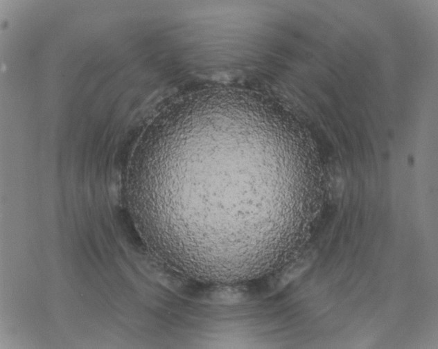 X0000074300656200609081918