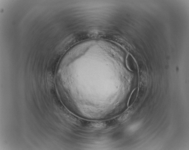 X0000074300659200609081918