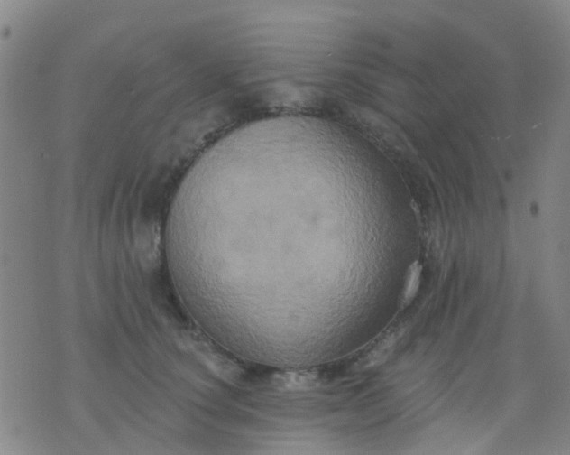 X0000074300660200609081918