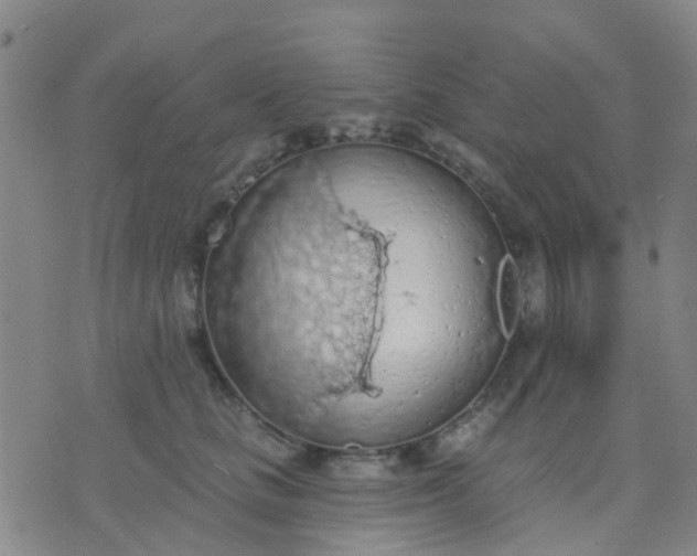 X0000074300661200609081918