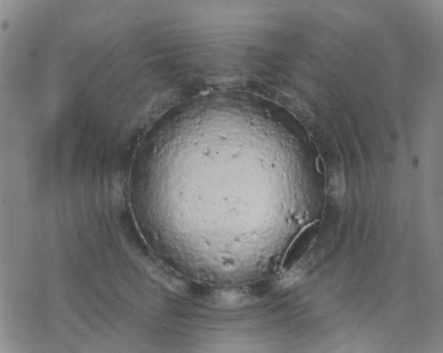 X0000074300662200609081918