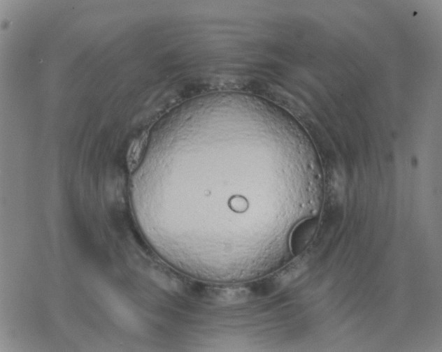 X0000074300663200609081918