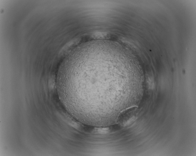 X0000074300665200609081918