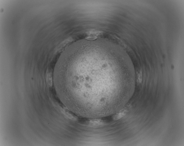 X0000074300666200609081918