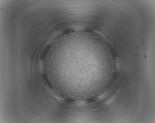 X0000074300667200609081918