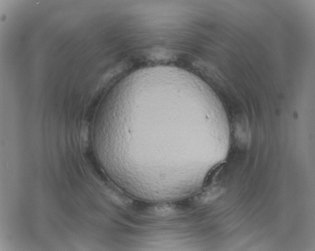 X0000074300668200609081918