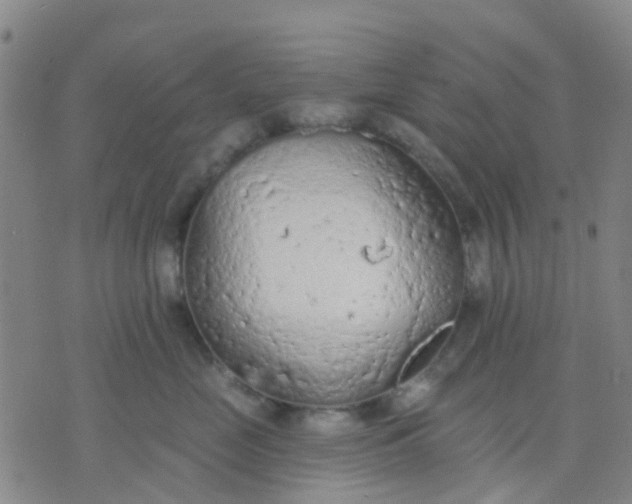 X0000074300669200609081918