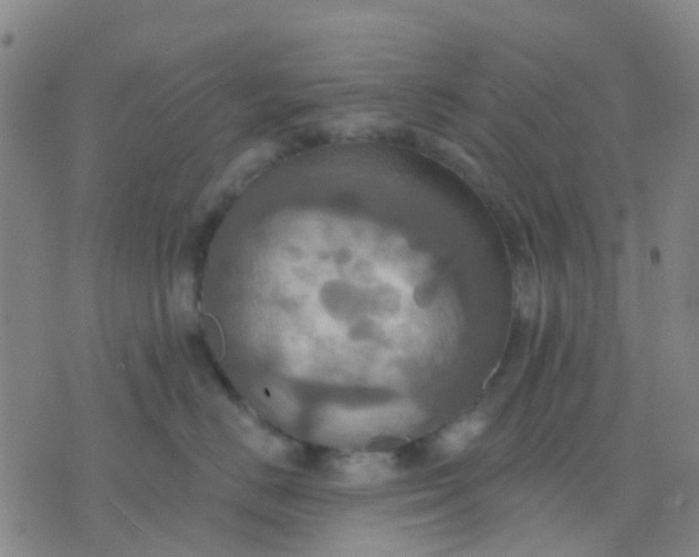 X0000074300670200609081918