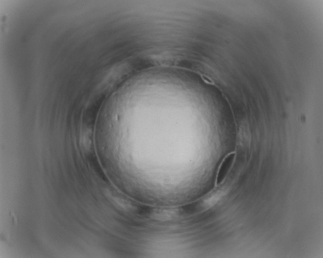 X0000074300671200609081918