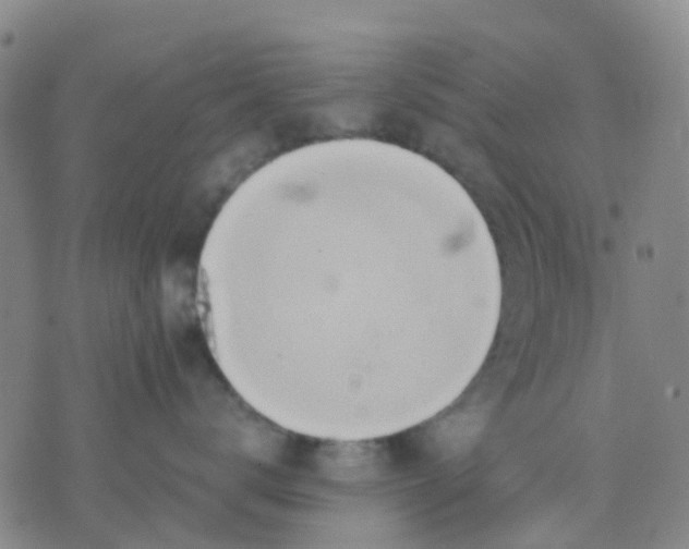 X0000074300672200609081918