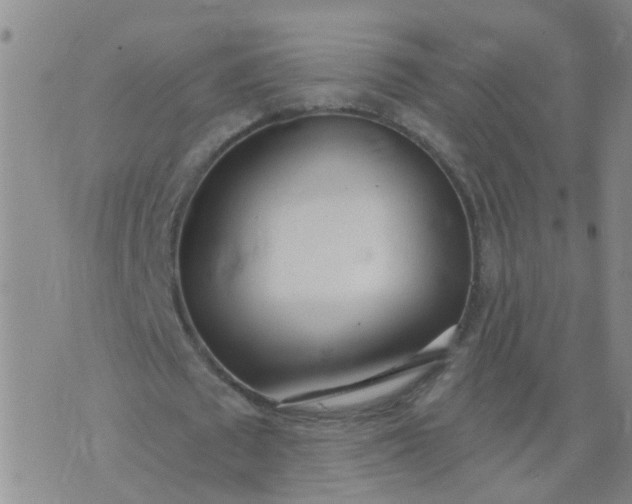 X0000074300673200609081918