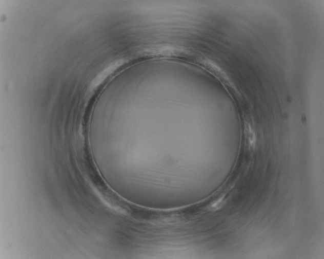 X0000074300674200609081918