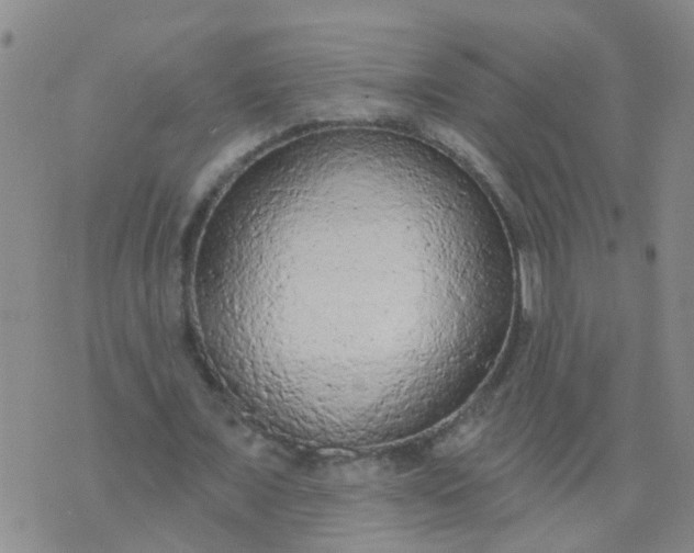 X0000074300675200609081918