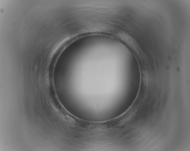 X0000074300676200609081918