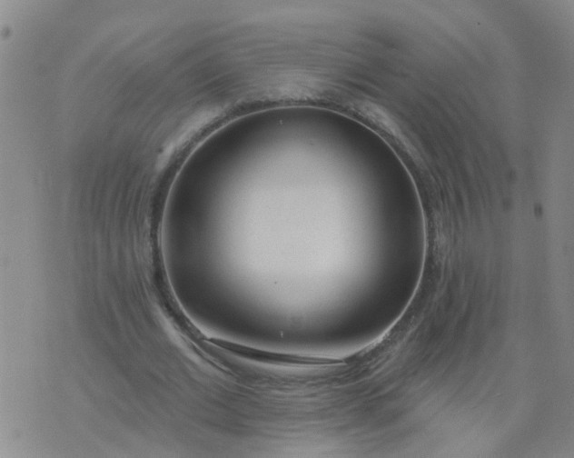 X0000074300677200609081918