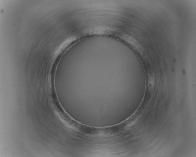 X0000074300678200609081918