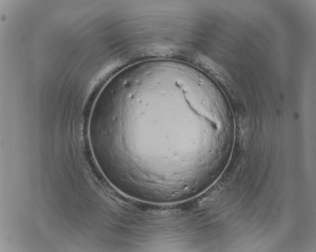 X0000074300679200609081918