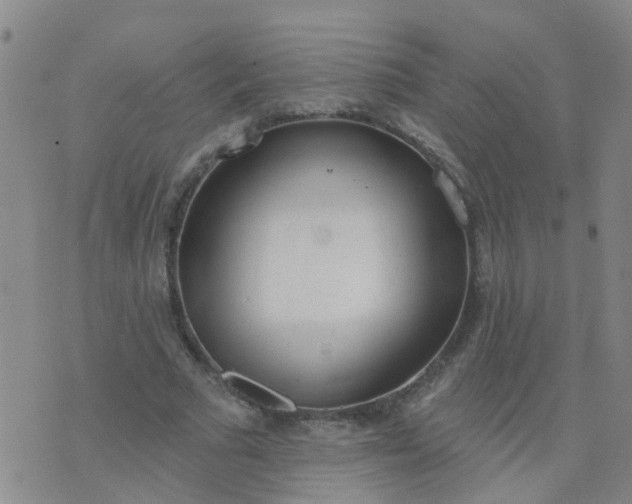 X0000074300681200609081917