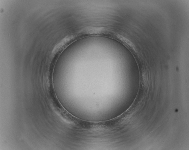 X0000074300682200609081917