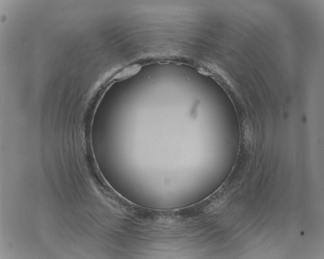 X0000074300684200609081917