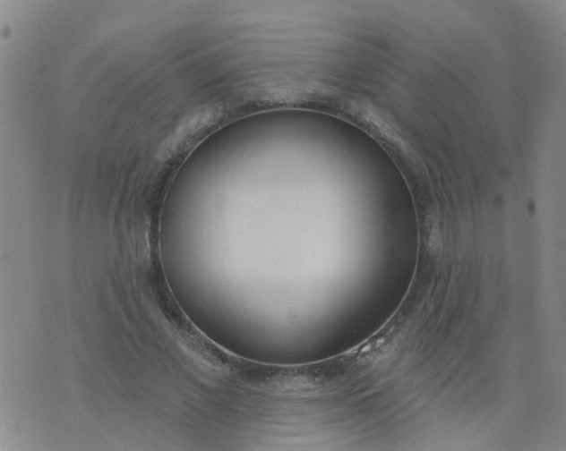 X0000074300685200609081917