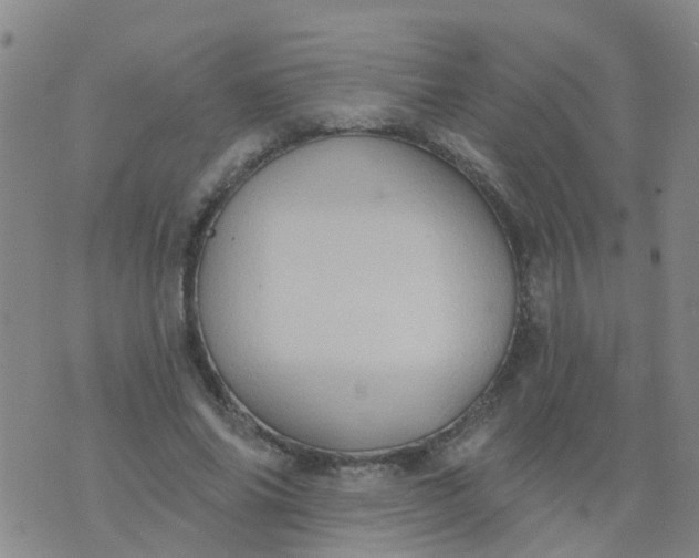 X0000074300686200609081917