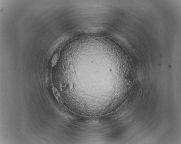 X0000074300687200609081917