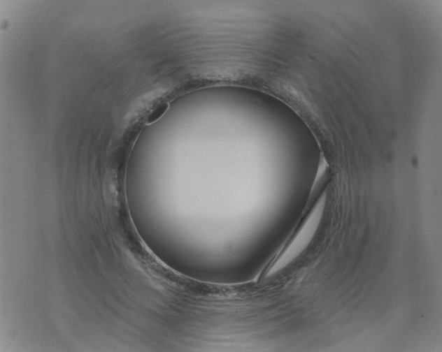 X0000074300688200609081917