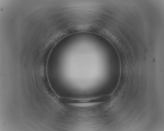 X0000074300689200609081917