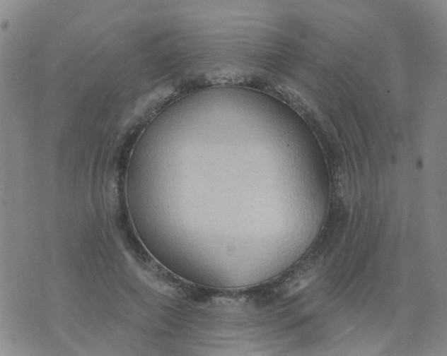 X0000074300690200609081917