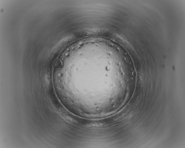 X0000074300691200609081917