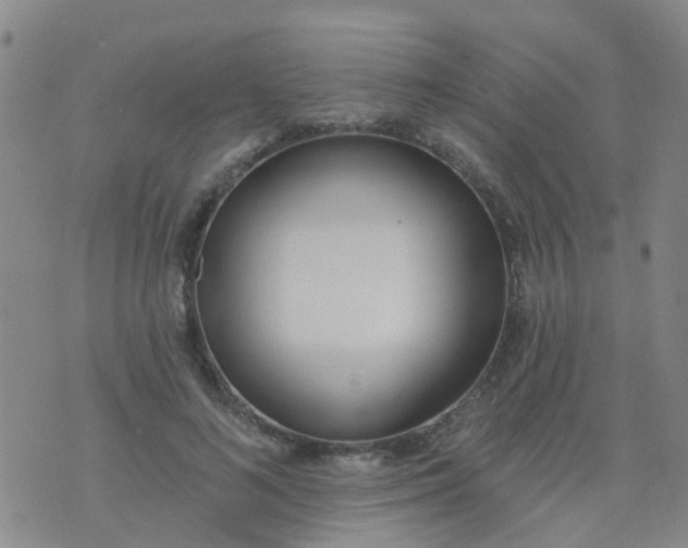 X0000074300692200609081917