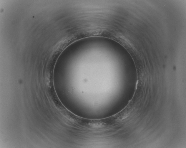 X0000074300693200609081917